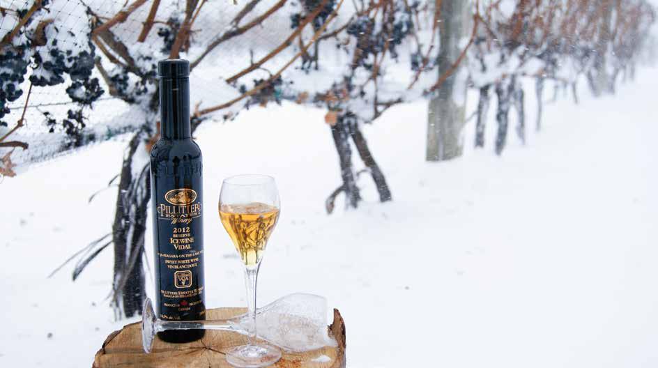 Come enjoy our Award Winning Riesling Icewine pairing with Chef Collin Goodine`s Grilled Pork Tacos.