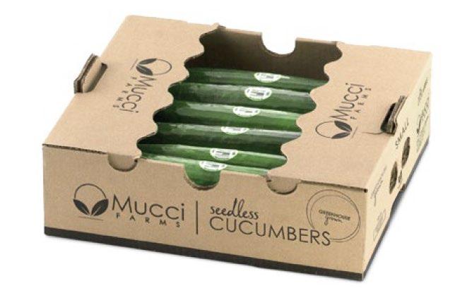 MUCCI FARMS CUCUMBERS Mini Cucumbers - 12/6 ct CODE: 02842 UPC: 0 69905 86106 2 Smaller versions of Seedless Cucumbers, Mini Cucumbers are the perfect on-the-go