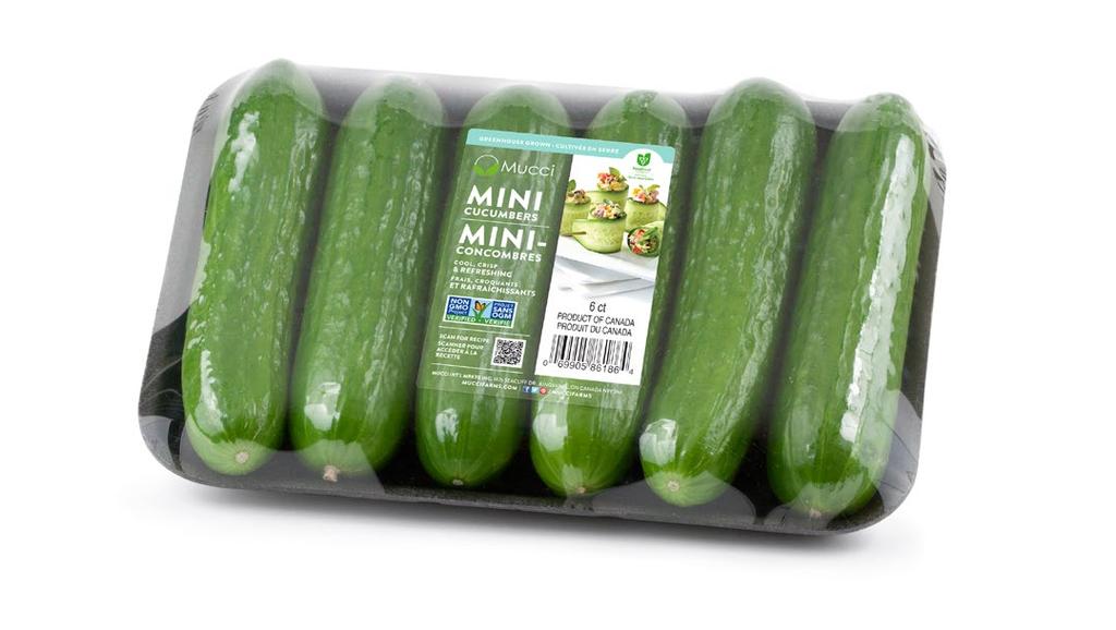 - - - - - - - - - - - - - - - - - - - - - - - - - - - - - - - - - - - - - - - - - - - - - - Persian Cucumbers - 20 lb.