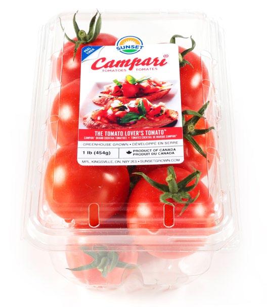 SUNSET Tomatoes Campari Tomatoes - 10/1 lb.