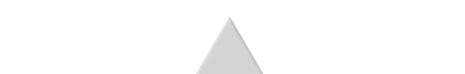 Slika 4.1: Kapfererjeva prizma v piramidi Vir: Doyle (1998,172).