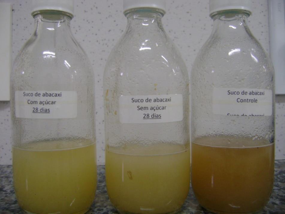 Probiotic pineapple juice