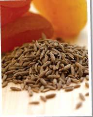 Introduction: Cumin seed commonly know as Jeera (Cuminum cyminum) belongs to Apiacae family. Though Cumin is a native of Egypt, it now mostly produced in India.