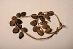 Hernandia nymphaeifolia (small brown seed) Cowry shell necklace 1.