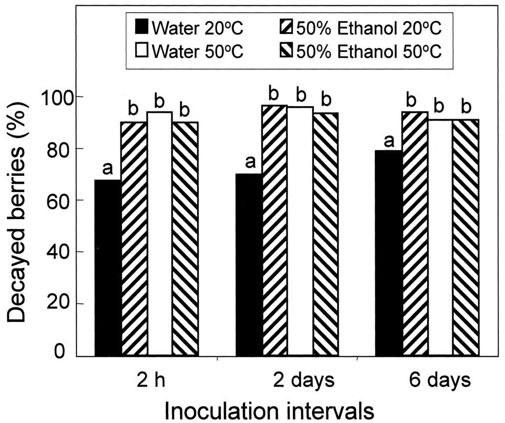 Immersion of whole Crimson Seedless clusters in 35% (vol/vol) ethanol significantly reduced postharvest gray mold after 30 days storage at 0.5 C and 2 days at 25 C.