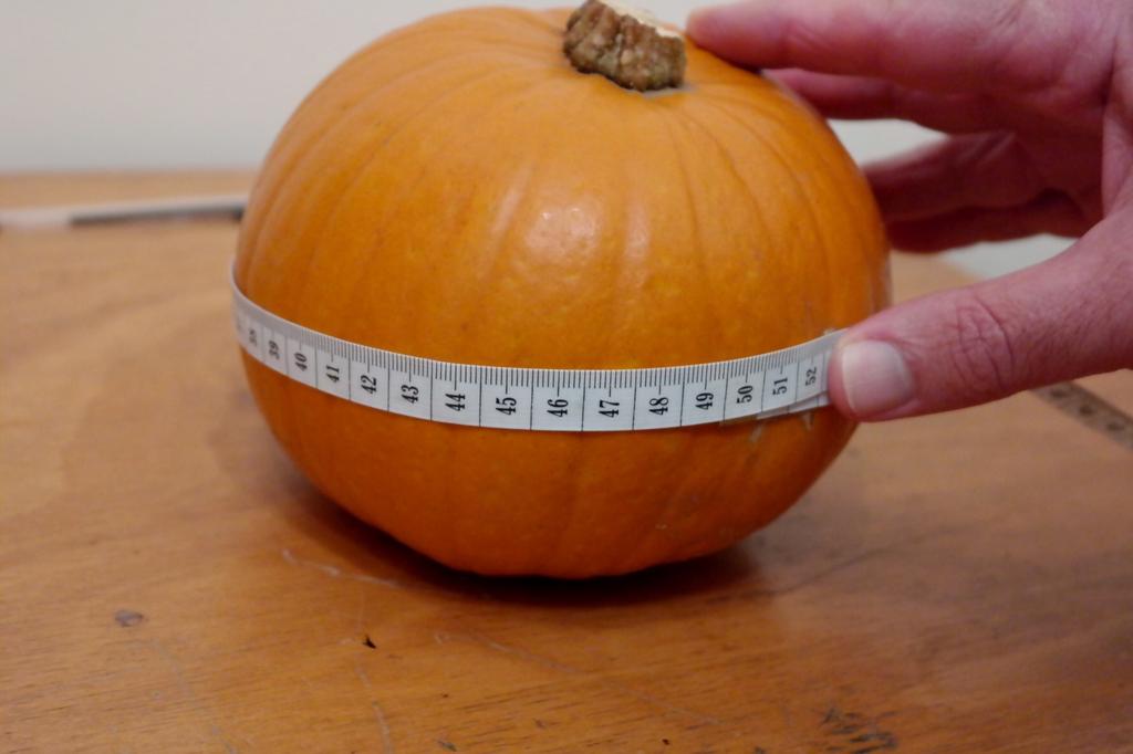 Maths tasks Estimate and then measure the circumference of a pumpkin Estimate the weight of a pumpkin and then weigh it.