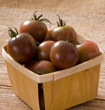 Late blight resistance Cherry Tomatoes $6.00 per 4-pack, $2.