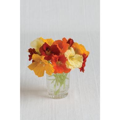 Marigold: Giant Orange 70-90 days Annual Extra-large blooms