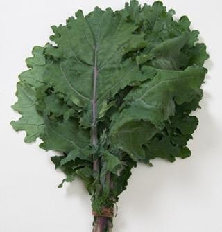 finely curled leaves suitable for cooking or massaged kale