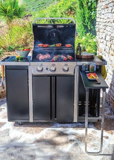 BYRON BARBECUE RANGE Gas 10 YEARS GUARANTEE ON THE HOOD* TECHNICAL INFORMATION BYRON G350 Cooking surface Burners Type of surface Materials 60 x 43 cm 3 x 3 kw + side burner 1 x 2.