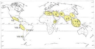 Lecture 5 Centers of Origin of Crop Plants The eight Vavilovian Centers of Origin for crop plants OLD WORLD I.