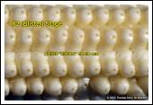 Kernel Milk Stage (R3) About 18 to 22 days after silking, the kernels are mostly yellow and contain