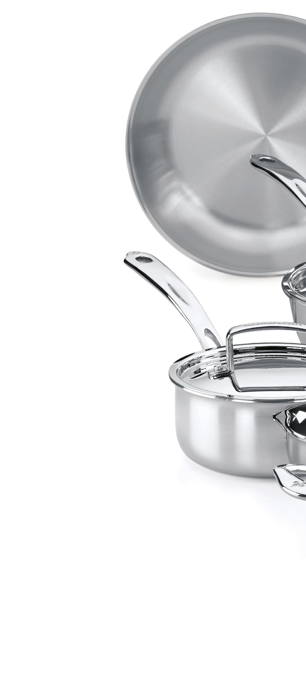 5 Ply Stainless Steel Cookware 8"