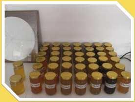 Research projects quality: mass, % pulp, % juice, ph and acidity, TSS ( Bx),