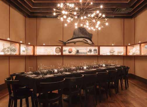 SEAFOOD MAIN DINING ROOM BLUE FIN COLLECTOR S ROOM BLUE FIN IS A MODERN seafood and sushi restaurant,