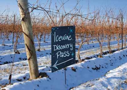 niagara-on-the-lake discovery pass / 2014 Discovery Pass - Winery Experiences (times may vary) Discovery Pass $40 plus HST per pass Driver s Discovery Pass $30 plus HST per pass The Niagara Icewine