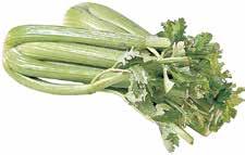 Veggie Dip 1-14 oz.