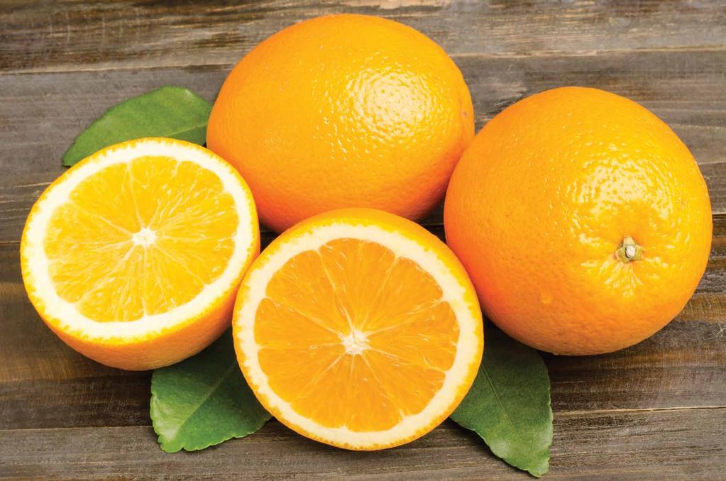 Seedless Navel Oranges