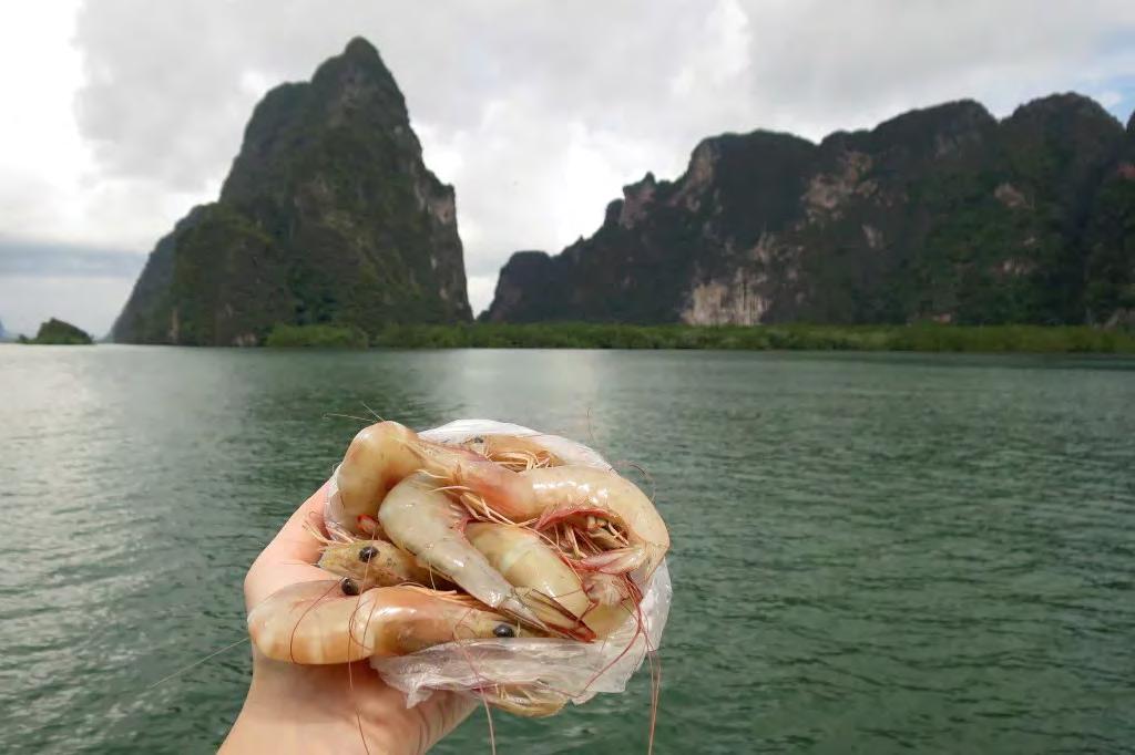 dallasnews.com For authentic food in Thailand, explore the remote islands Travel Apr.