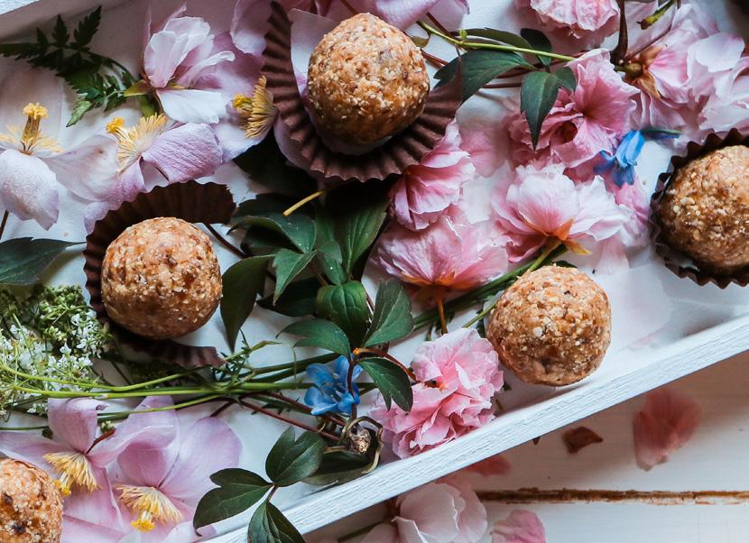 blend PROTEIN EXCELLENCE BLISS BALLS The perfect post-workout snack full of good fats, protein and carbs. Don t forget to roll in lots of coconut!