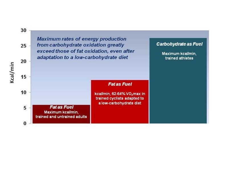 Maximum Rates of Energy Production from Carbohydrates