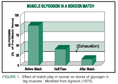 Muscle Glycogen Use is High Even in Intermittent Efforts Soccer,