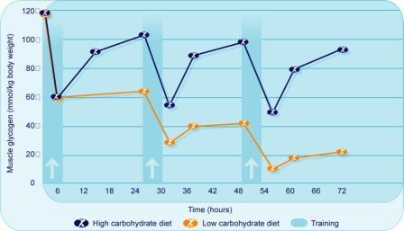 Muscle Glycogen Replenishment During Consecutive Days of Hard Exercise High-Carb Diet vs.