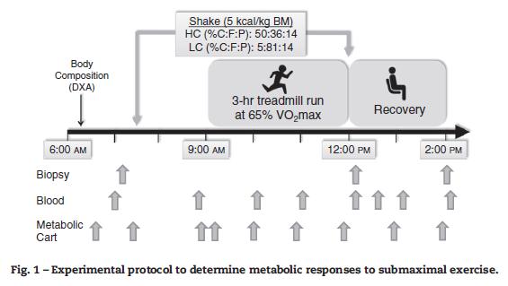 Experimental design of submaximal exercise