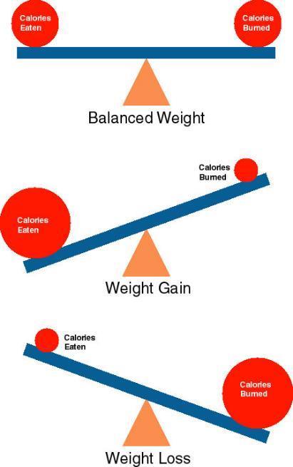 Energy imbalance is necessary for weight loss Calories expended must exceed