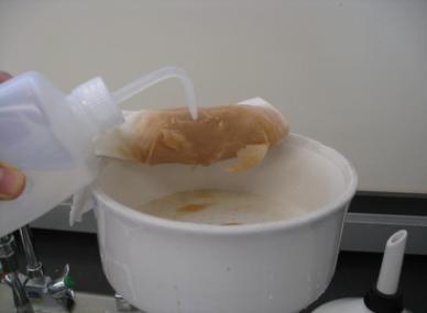 tared filter paper in funnel; on the right, dry the pulp pads in speed dryer.