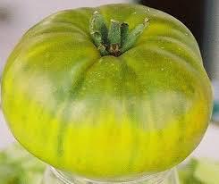 Another great tasting heirloom green tomato.