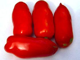 San Marzano The favorite paste tomato of chefs and canners