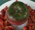 Patio Tomatoes Anahu (78 days) This determinate tomato was developed at the