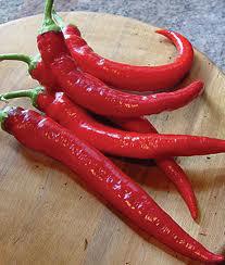 700-3000 Scovilles Long Red Narrow Cayenne (75 days) Curled and twisted peppers grow 5-6 long but are only 1/2 wide.