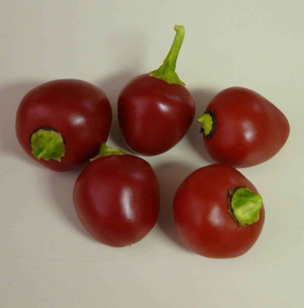 Huth s Tomato Pepper (75-80 days) Round, red fruit with