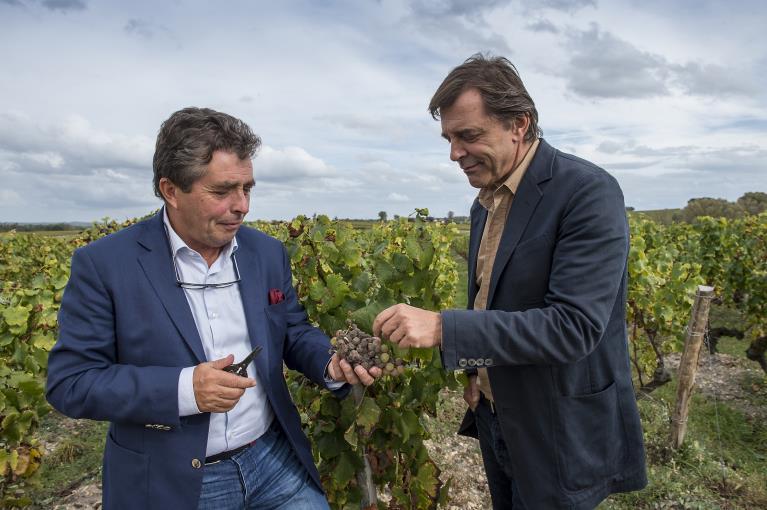 François Poincet CHÂTEAU LAFAURIE-PEYRAGUEY, 2014 VINTAGE, DENIS DUBOURDIEU SIGNS HIS FIRST VINTAGE AND ENTERS INTO PARTNERSHIP WITH SILVIO DENZ March 2015 One year on from the purchase of Château