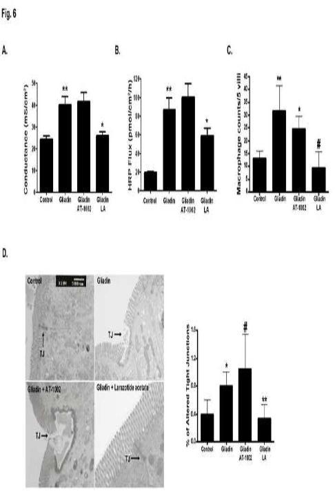 Larazotide Acetate Inhibits Gluten-Induced Permeability and Inflammation In vivo 1.