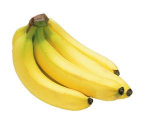 comparison shop Bananas.49 lb..69 lb. Save.20 lb. Prices checked week end ing 9/24/11 at Stop & Sho p - 290 Turnpike Road, Wes MA 01581.