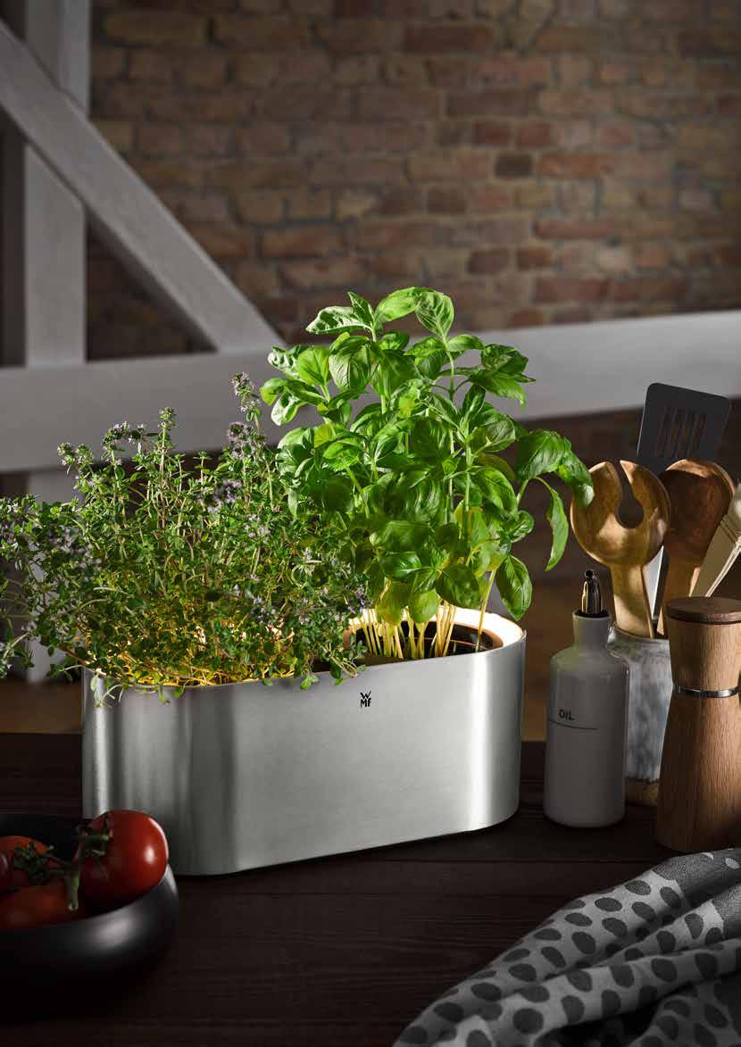 Let herbs grow and shine. Showcase decorative greens.