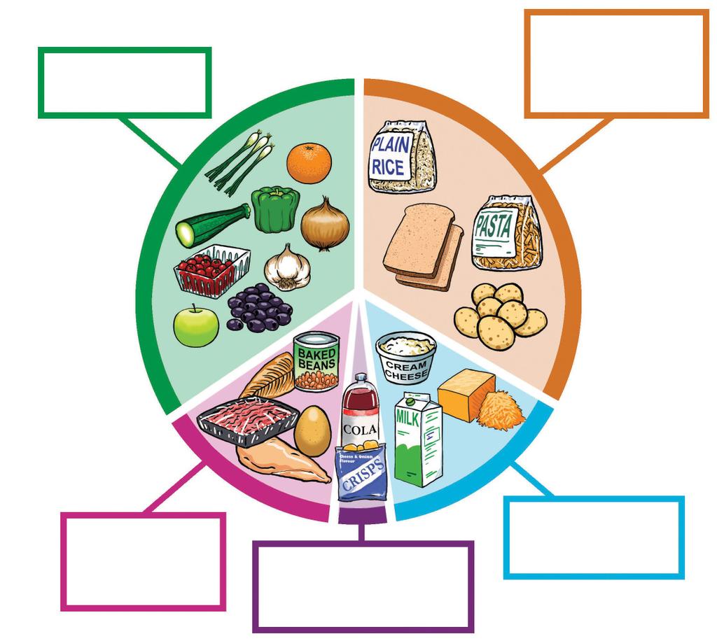 The Healthy Eating plate The picture shows how much of each different type of food you should eat.