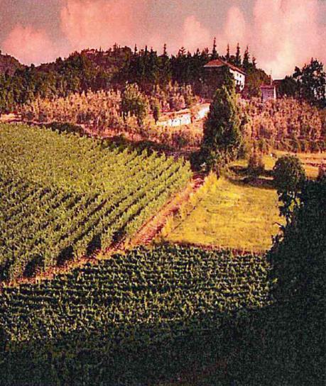 HOLIDAY La Malpensatina Tuscan Farmhouse In Tuscany, the horizon is studded with century old villas, and stately cypress trees; roads wind through vineyards and olive orchards.