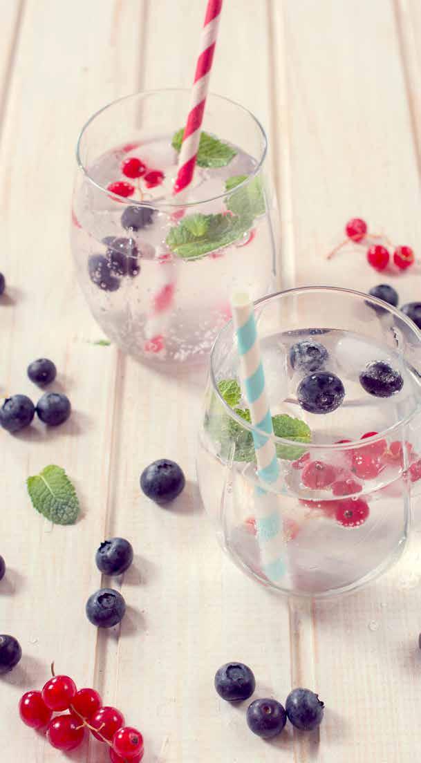 Beverage: Nutrient Water -the healthy alternative! Ice Herbal Waters deliver on all fronts. Liquid refreshment & health without all the kilojoules.