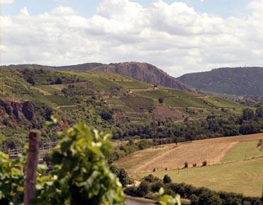 Einzellage designations and the focus on Oechsle rather than Terroir,