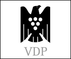 Overview of today s SWEbinar 1. What is the VDP? 2. Overview of the German Wine Classification System 3. The Search for Distinction 4. Meet some VDP Members 5.