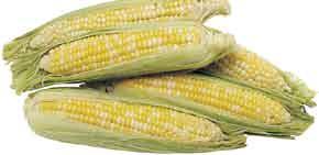 ~ Good Source of Vitamin C Bi-Color Sweet Corn In