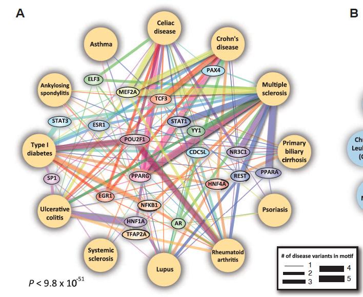 GWAS Common disease networks Genome wide association studies.