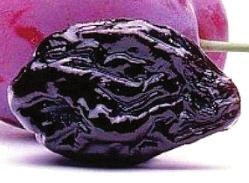 Prune Cold hardy hybrids European & Japanese They may be baked, and poached (cooked in a liquid), or added as a puree for sauce for desserts.