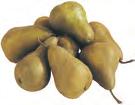 # Eastern Potatoes bags /