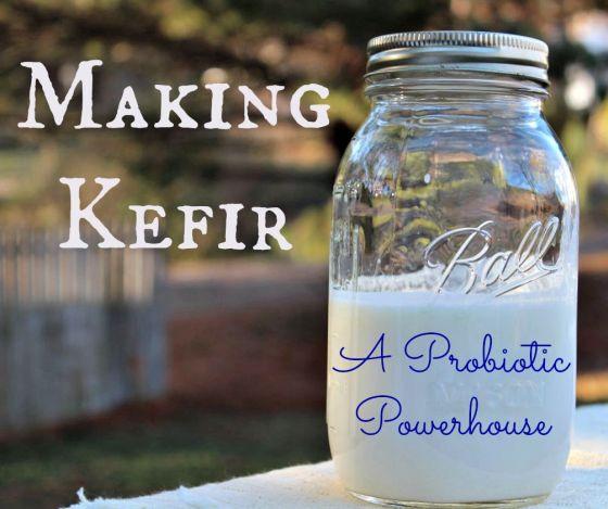 Water Kefir Troubleshooting Articles Check out this how-to video: Water Kefir Making Milk Kefir Milk kefir grains are live active cultures consisting of yeast and bacteria existing in a symbiotic