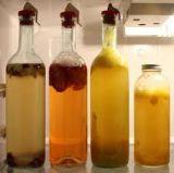 When it reaches a balance of sweetness and tartness that is pleasant to you, the kombucha is ready to bottle. 7.